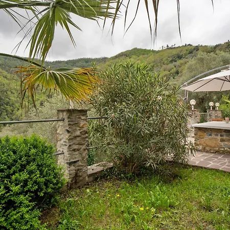 Apartmán Loggia Oliveto *