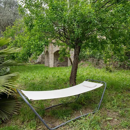 Loggia Oliveto Appartamento Casanova Lerrone