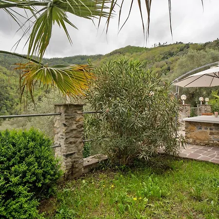 Loggia Oliveto *