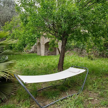 Loggia Oliveto