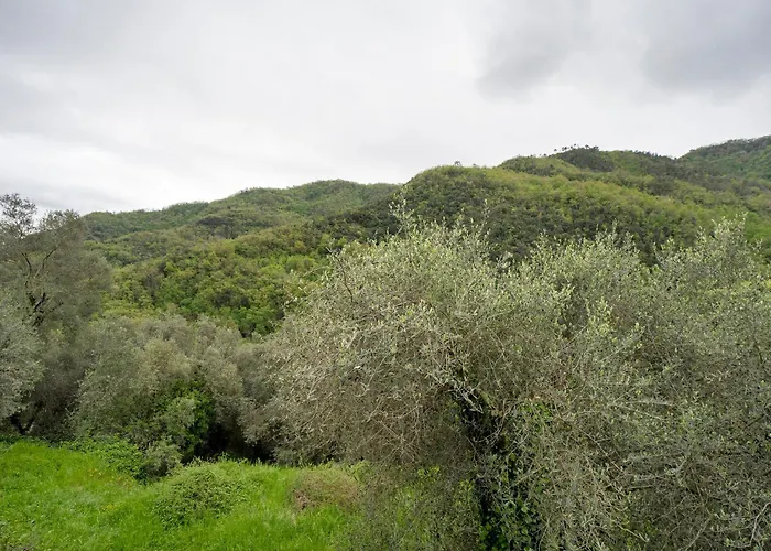 Appartamento Loggia Oliveto Casanova Lerrone